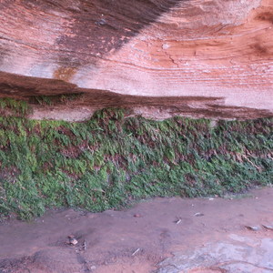 Hanging Garden Trail