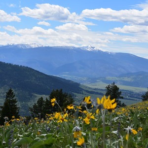 University Mountain via Kim Williams Trail