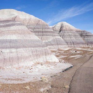 Blue Mesa Hike + Scenic Drive