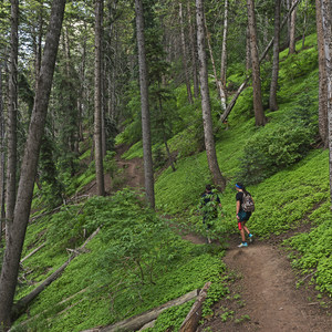Terraces - Elbow Fork Trail