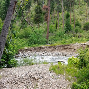 Pine Flats Campground