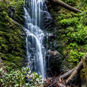 Berry Creek Falls Loop via Big Basin Headquarters