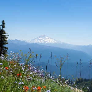 Horsepasture Mountain Trail