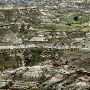 Dinosaur Provincial Park