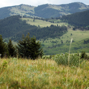 Bob Creek Wildland + Black Creek Heritage Rangeland