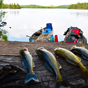 Moose Lake to Ensign Lake via Entry Point 25