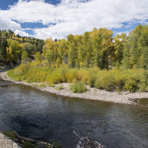 Pioneer Park + Campground