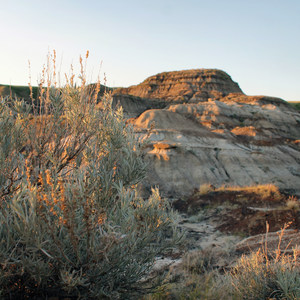 Drumheller + Royal Tyrell Museum
