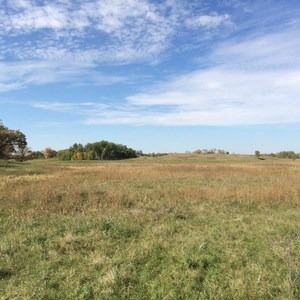 Sheyenne National Grassland