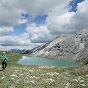 Flower Springs Trail