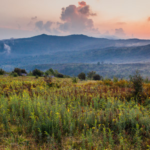 Wilburn Ridge Loop via Pine Mountain + the Appalachian Trail