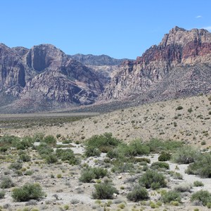 Turtlehead Peak Trail