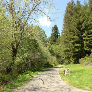 Redwood Regional Park