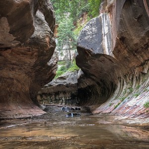 The Subway via Wildcat Canyon Trailhead