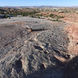 Klondike Bluff Dinosaur Tracks