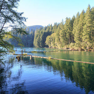Cresap Bay Recreation Area Campground