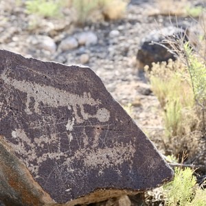 Boca Negra Canyon: Mesa Point Trail