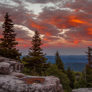 North Dolly Sods Loop from Bear Rocks Trailhead