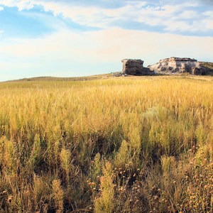 Agate Fossil Bed National Monument