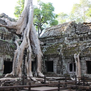 Ta Prohm Temple