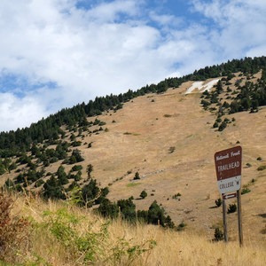 Bozeman's M Trail