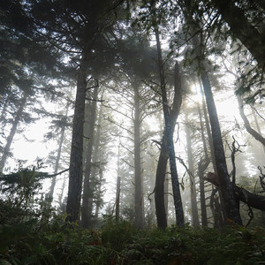 Tseriadun State Recreation Area