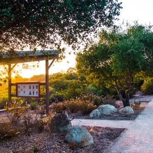 Nipomo Native Garden Loop