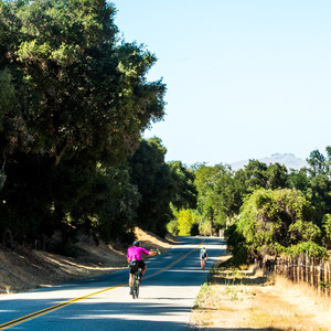 Foxen Canyon Cycle + Wine Tour