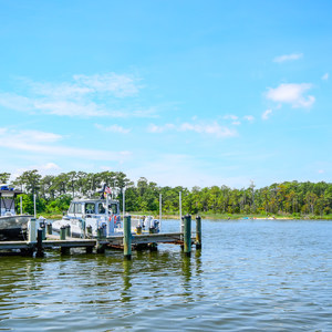 Point Lookout State Park Campground