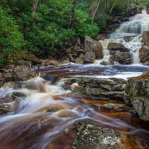Big Stonecoal + Red Creek Loop