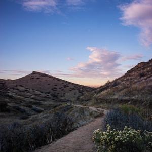 Coyote Ridge Natural Area
