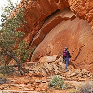 The Red Mountain Wilderness