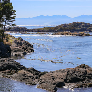 Lopez Island: Shark Reef Sanctuary