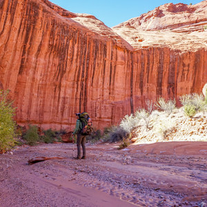 Silver Falls Creek / Choprock Canyon Loop