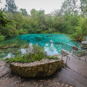 Ichetucknee + Blue Hole Springs