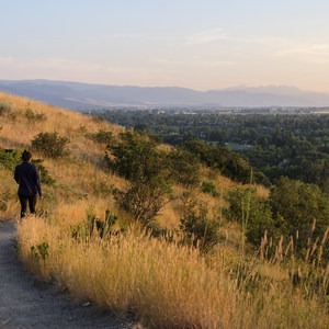 Peet's Hill + Burke Park