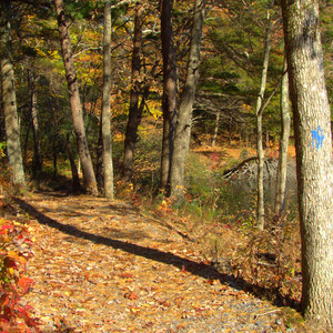 Fort Mountain Lake Trail