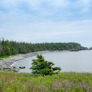 Liberty Point to Raccoon Beach Loop