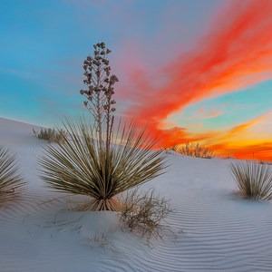 White Sands National Monument Dispersed Campsites