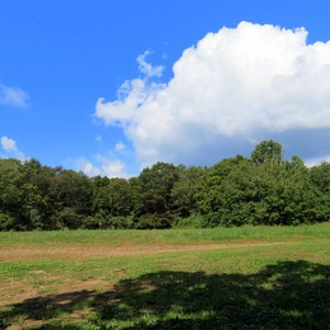 Ball Field Dispersed Camping Area