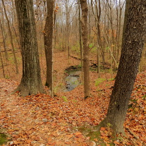 Camp Creek Trail