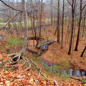 Schoen Creek Trail