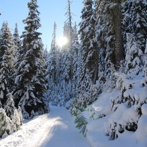 Bennett Pass Sno Park