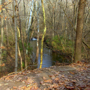 Flat Fork Creek Park Trail