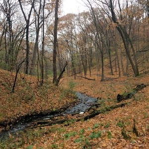 Fish Creek Natural Area