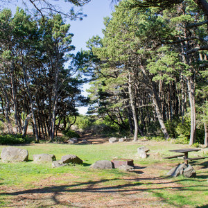 Baker Beach Campground