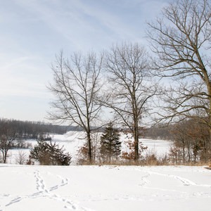 Seven Lakes State Park via Big Seven Lake