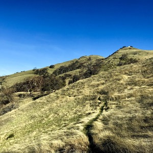 Rose Peak via McCorkle Trail + Ohlone Wilderness Trail
