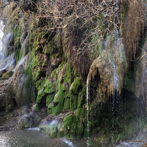 Gorman Falls