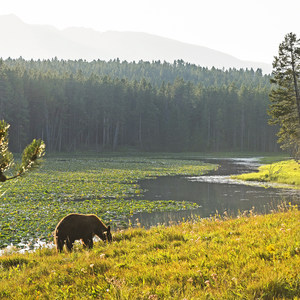 Heron Pond Hike